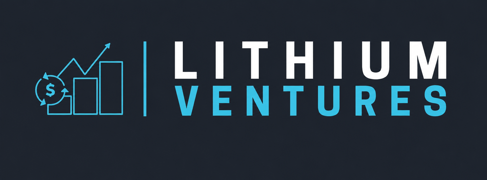 Lithium Ventures 